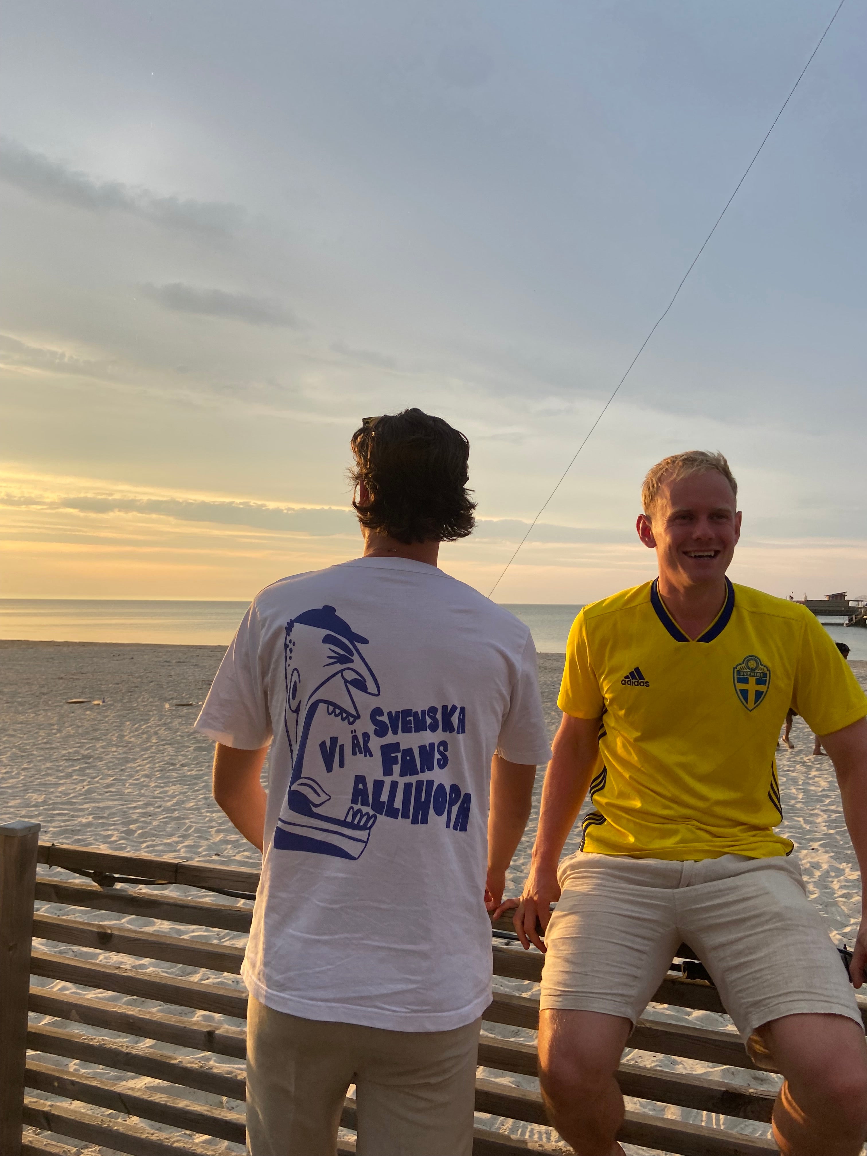 SWE - WORLD CUP
