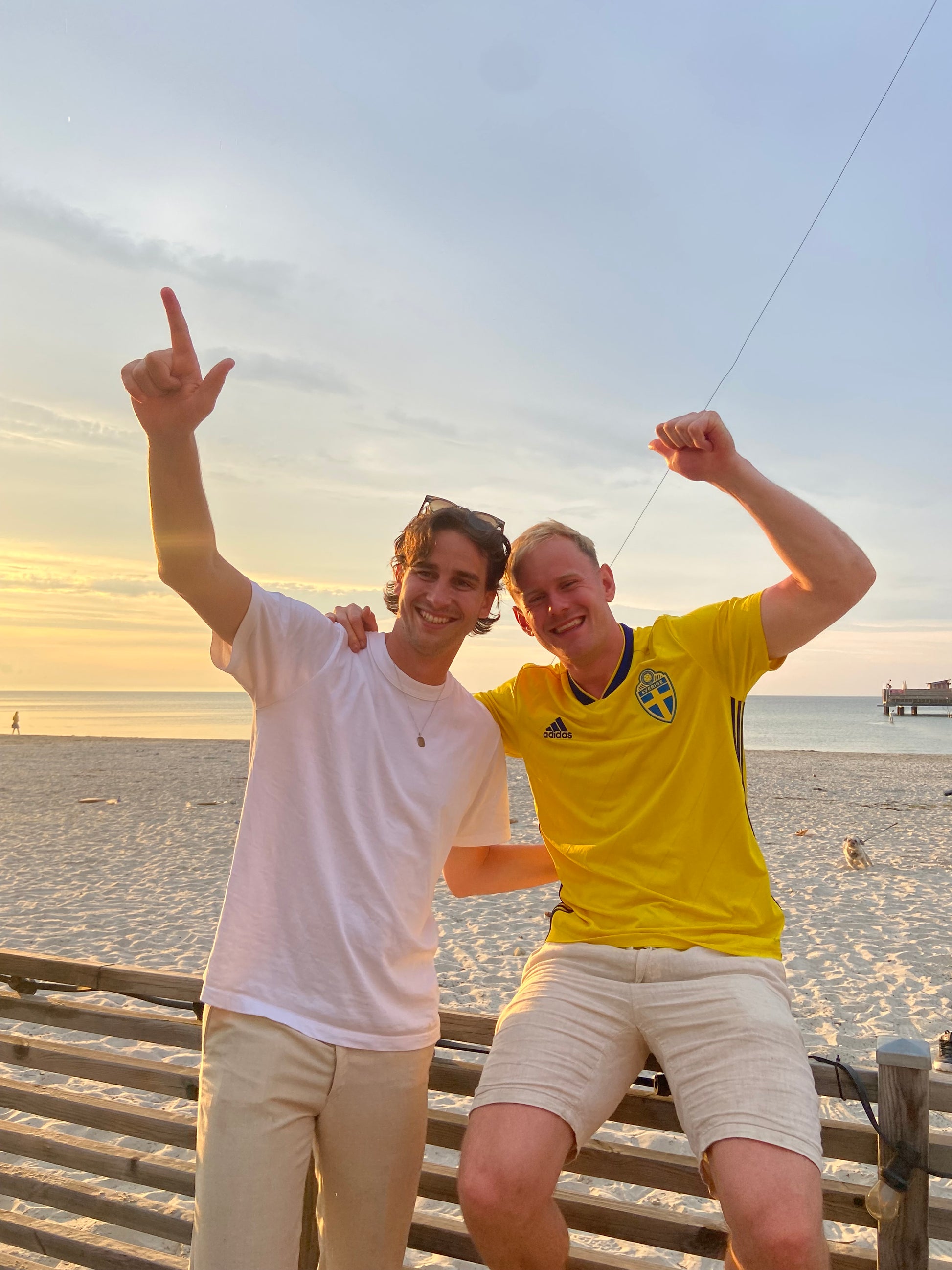 SWE - WORLD CUP