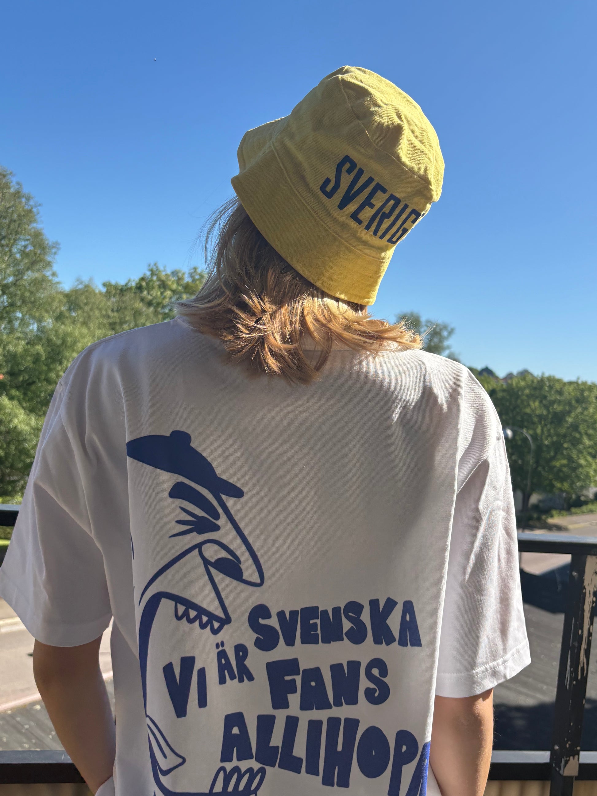 SWE - WORLD CUP
